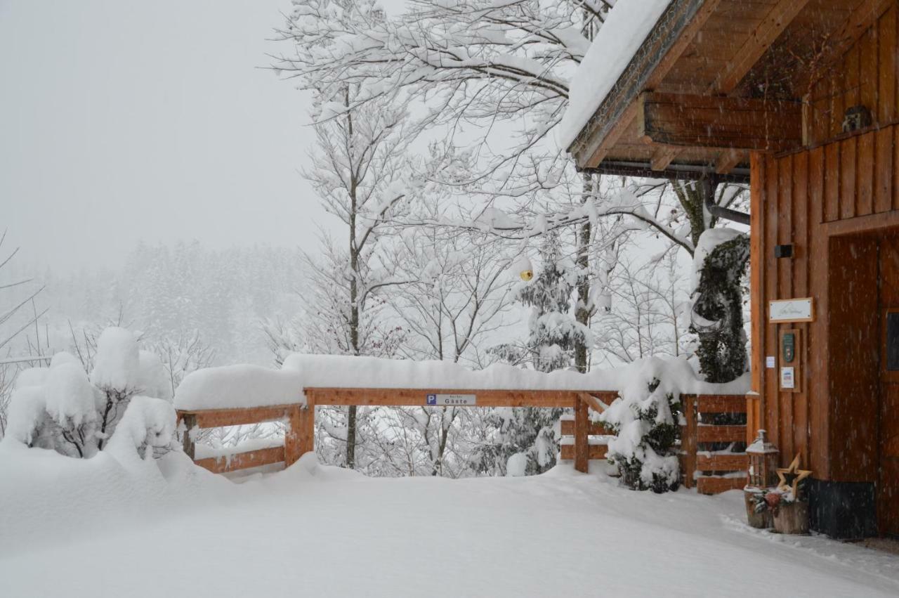 Hilltop Appartement Lofer Luaran gambar